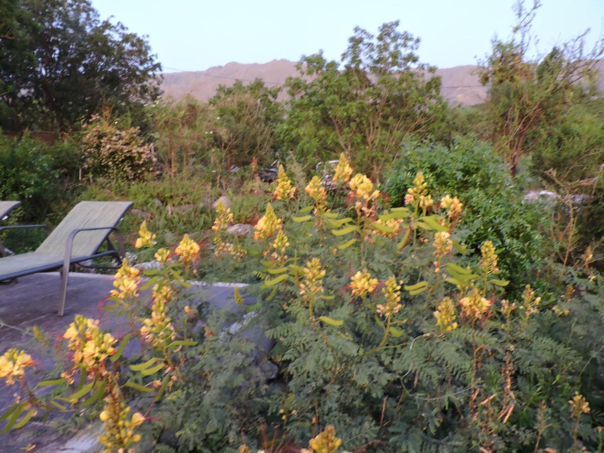 Cabanas La Comarca Merlo Kültér fotó